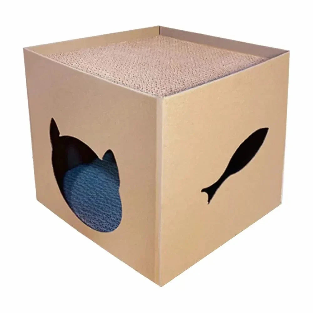 Boîte à gratter chat design