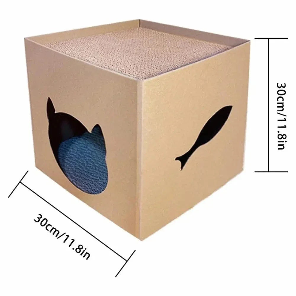 Boîte à gratter chat design