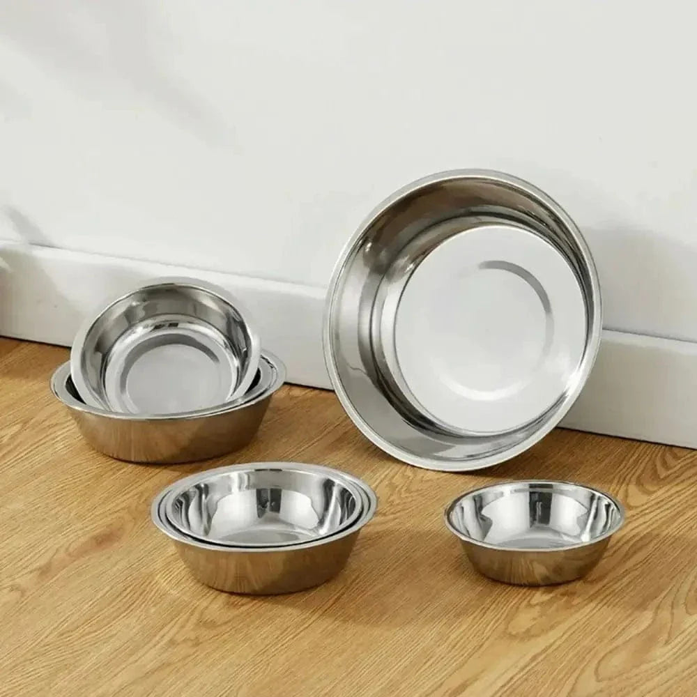 Bol en inox pour chat - Hygiène maximale | SteelBowl