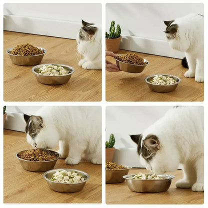 Bol en inox pour chat