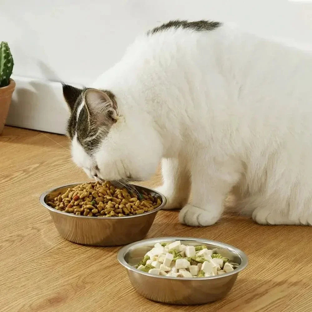 Bol en inox pour chat
