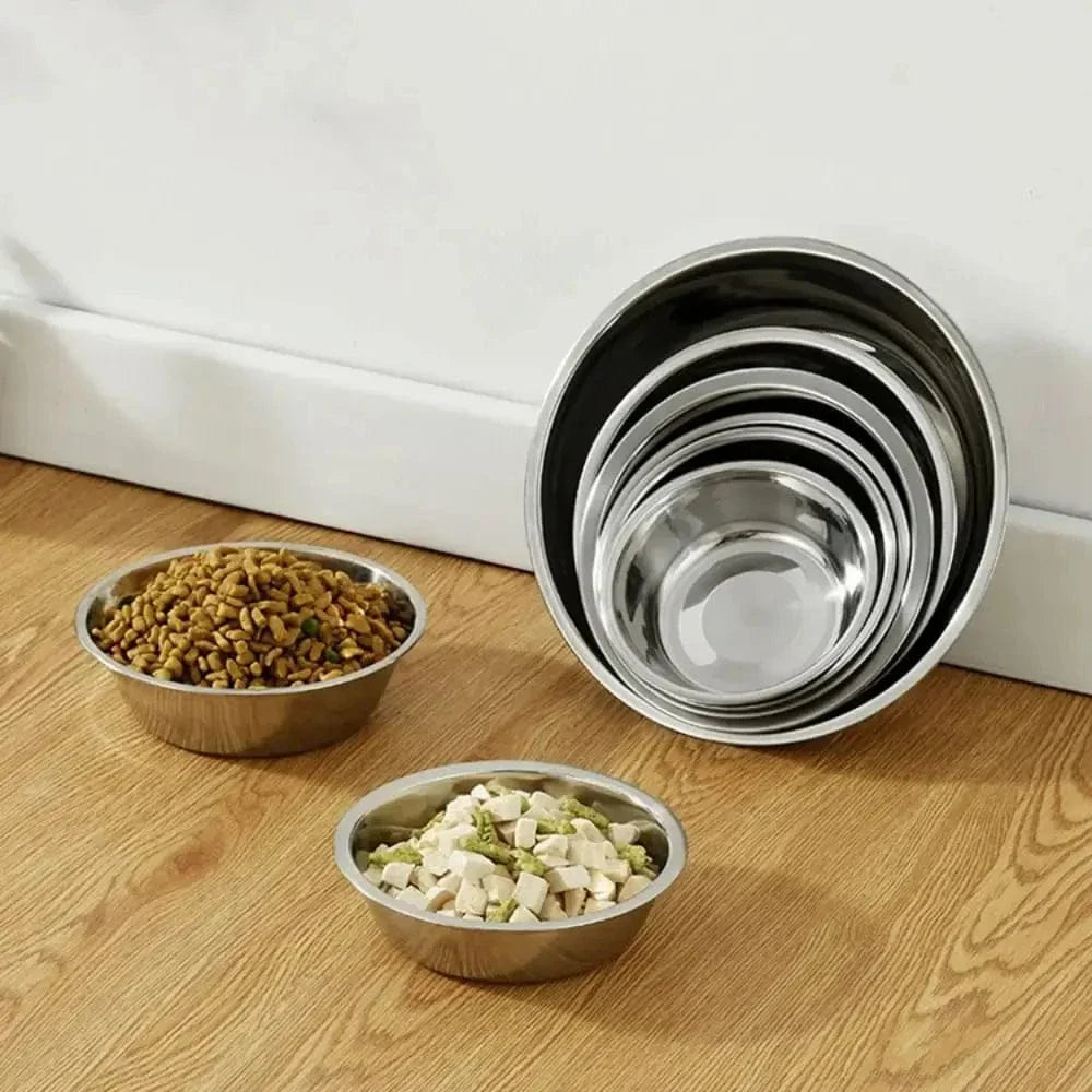 Bol en inox pour chat