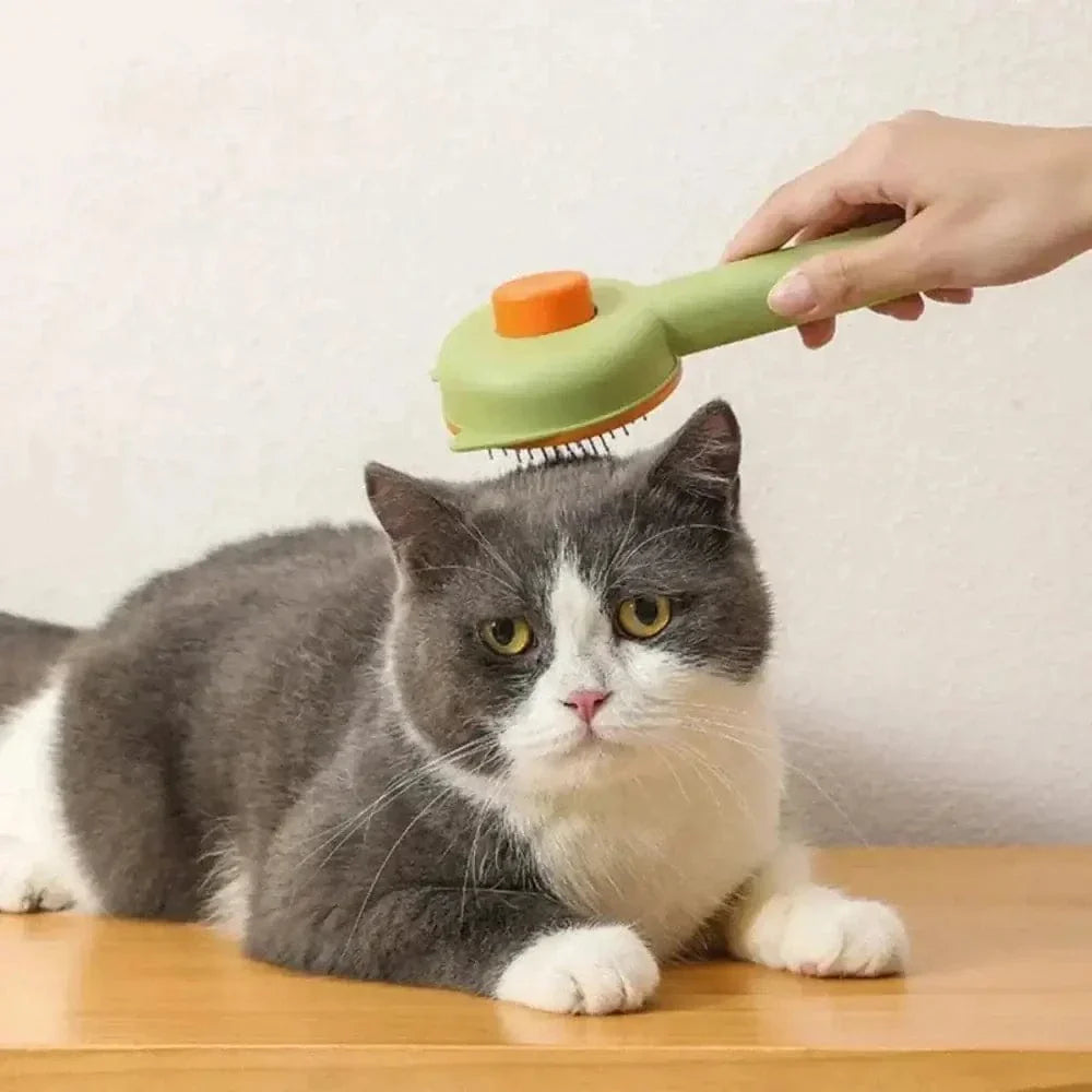 Brosse autonettoyante chat - Poils enlevés en 1 clic | EasyPurr