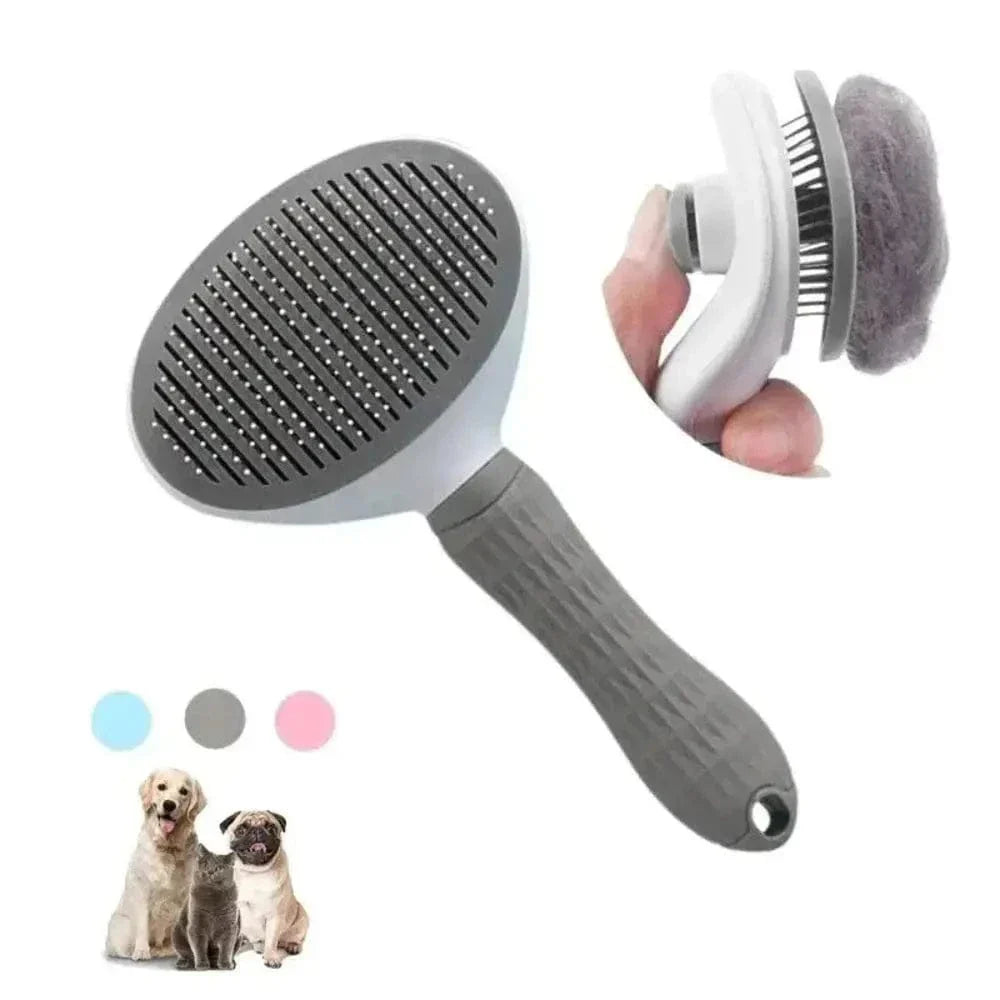 Brosse toilettage chat - Zéro nœud, zéro stress | MiaCare