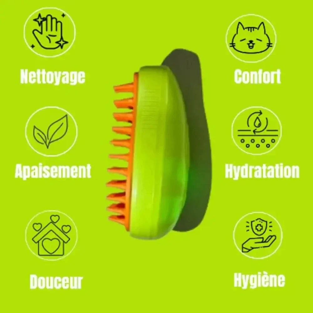 Brosse pour vapeur chat
