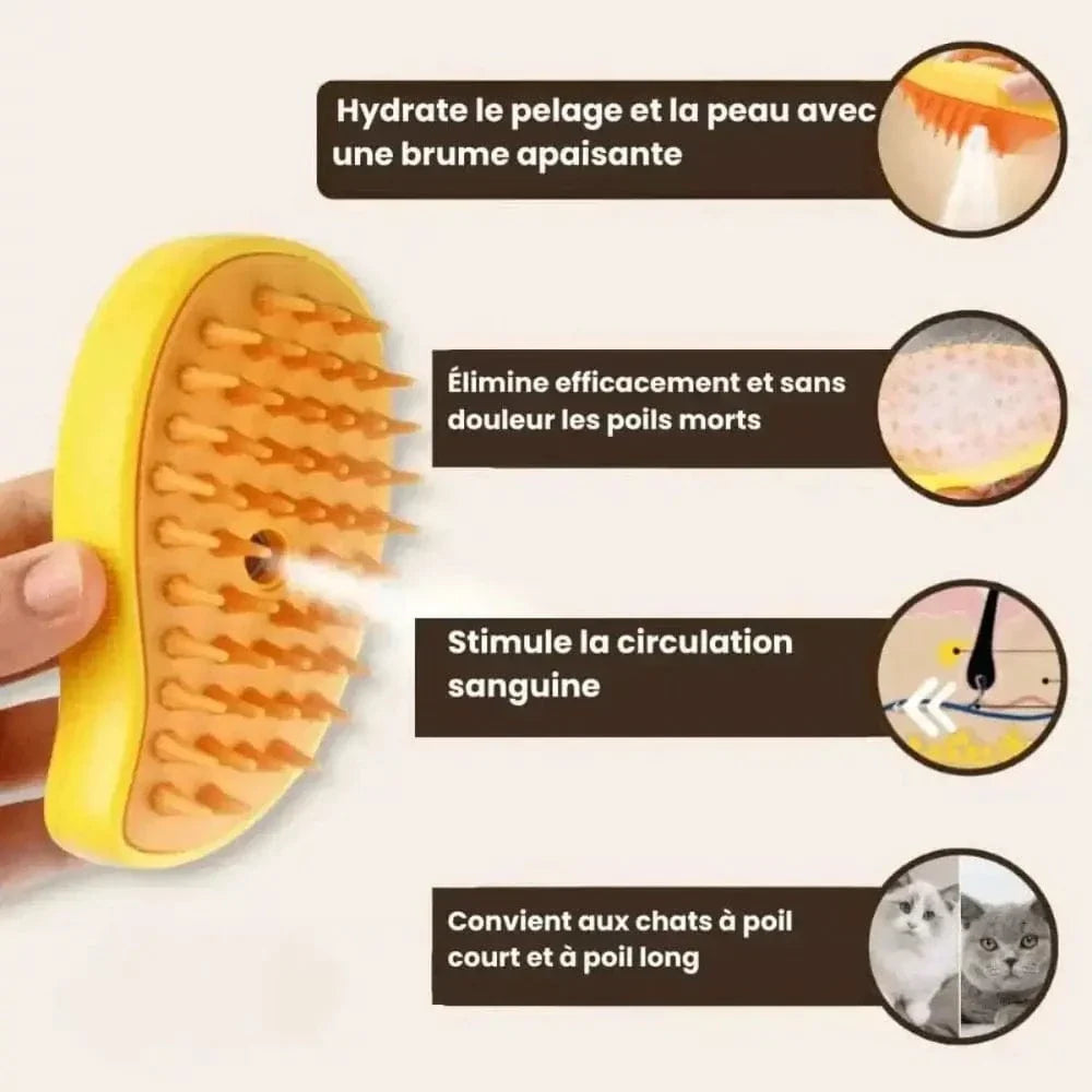 Brosse pour vapeur chat