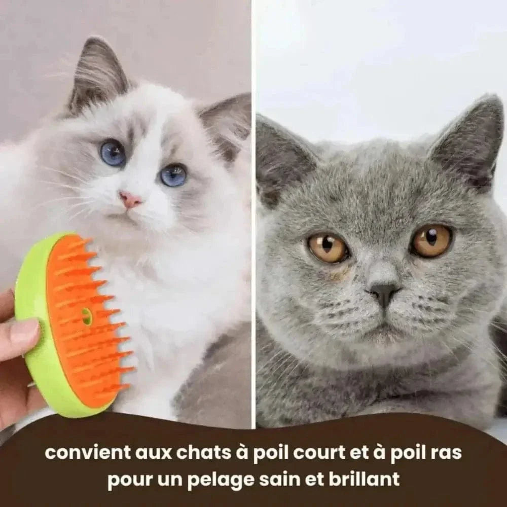 Brosse pour vapeur chat