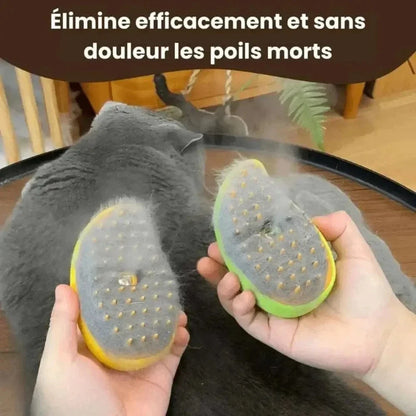 Brosse pour vapeur chat