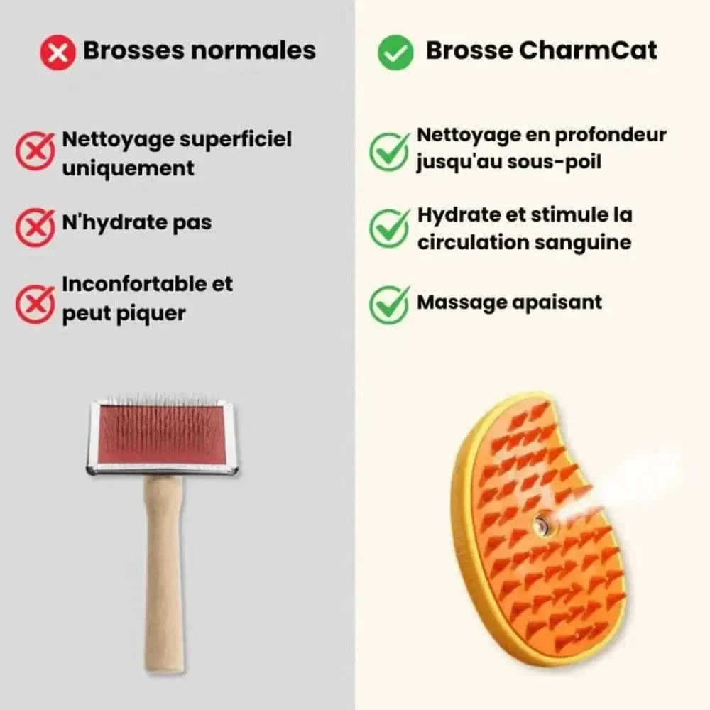 Brosse pour vapeur chat
