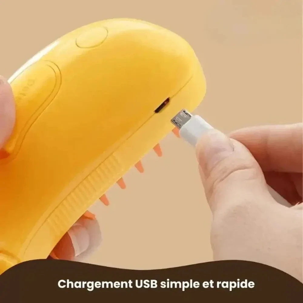 Brosse pour vapeur chat