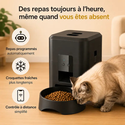 Distributeur programmable de croquettes pour chat