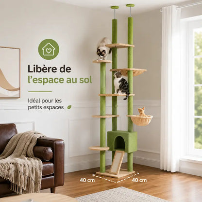 Arbre à chat plafond