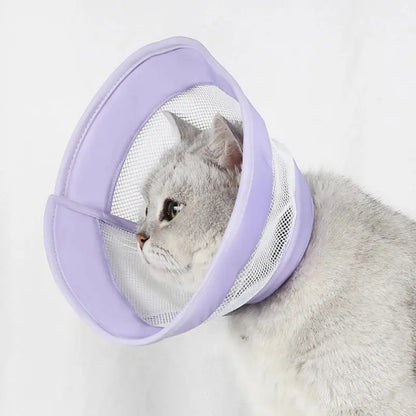 Collerette anti-rayures chat - Confort & hygiène | Pawlyss