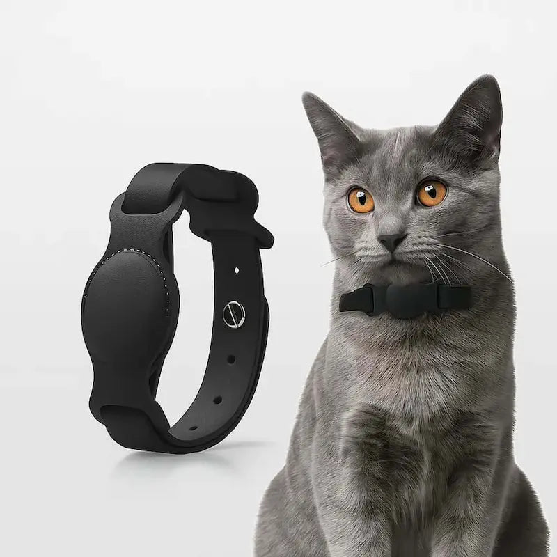 Collier GPS AirTag chien chat