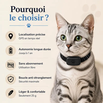 Collier de localisation pour chat