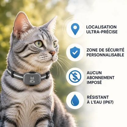 Traceur GPS chat