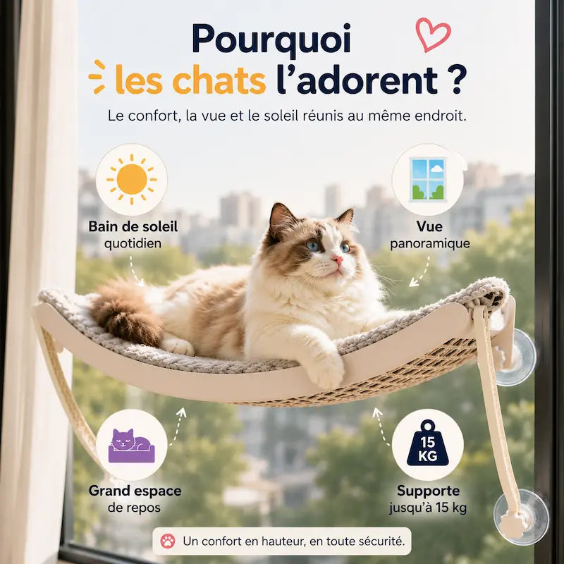 Hamac pour chat ventouse