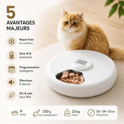 Distributeur automatique croquette 6 repas
