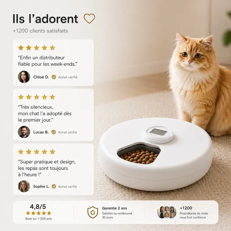 Distributeur automatique croquette 6 repas