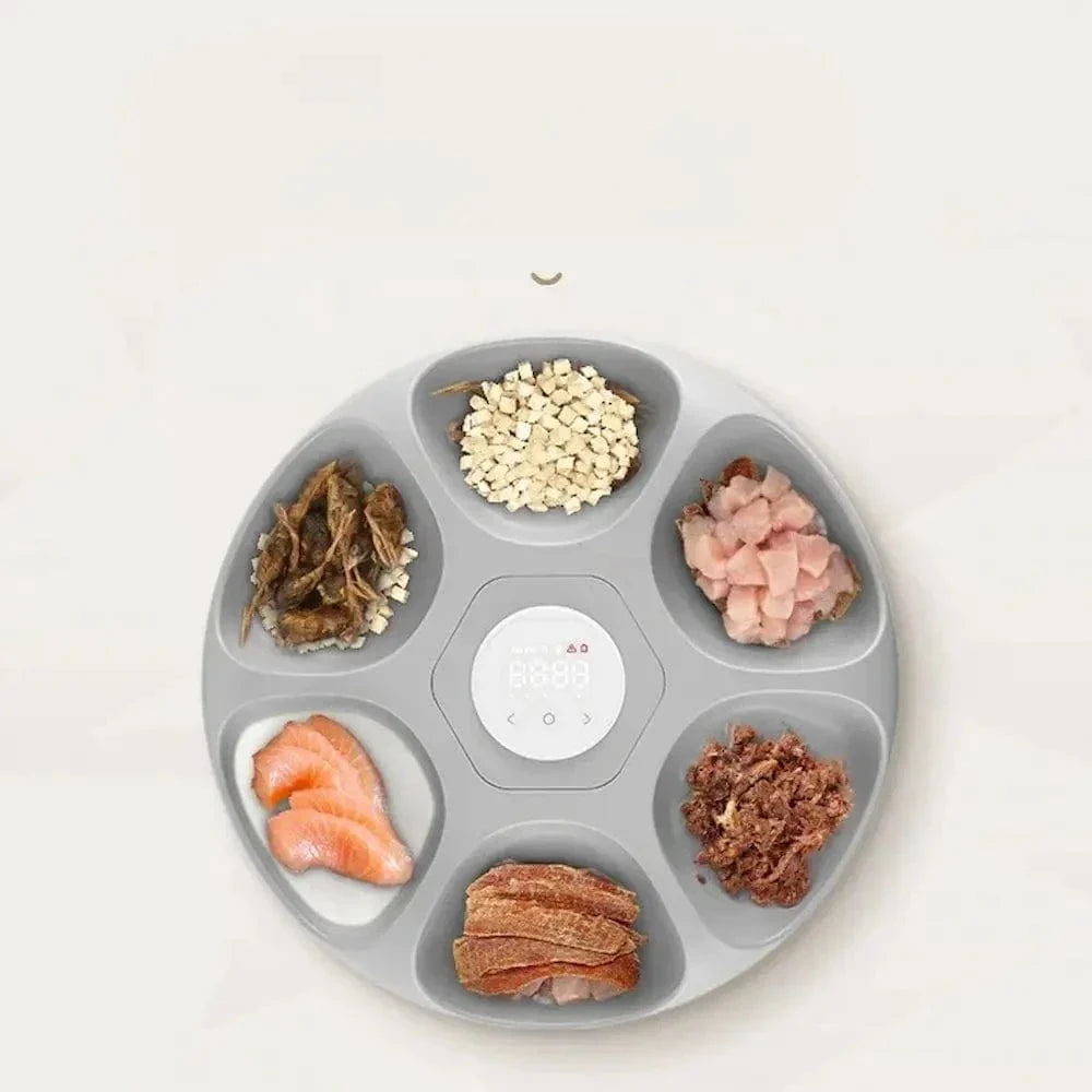 Distributeur automatique croquette 6 repas