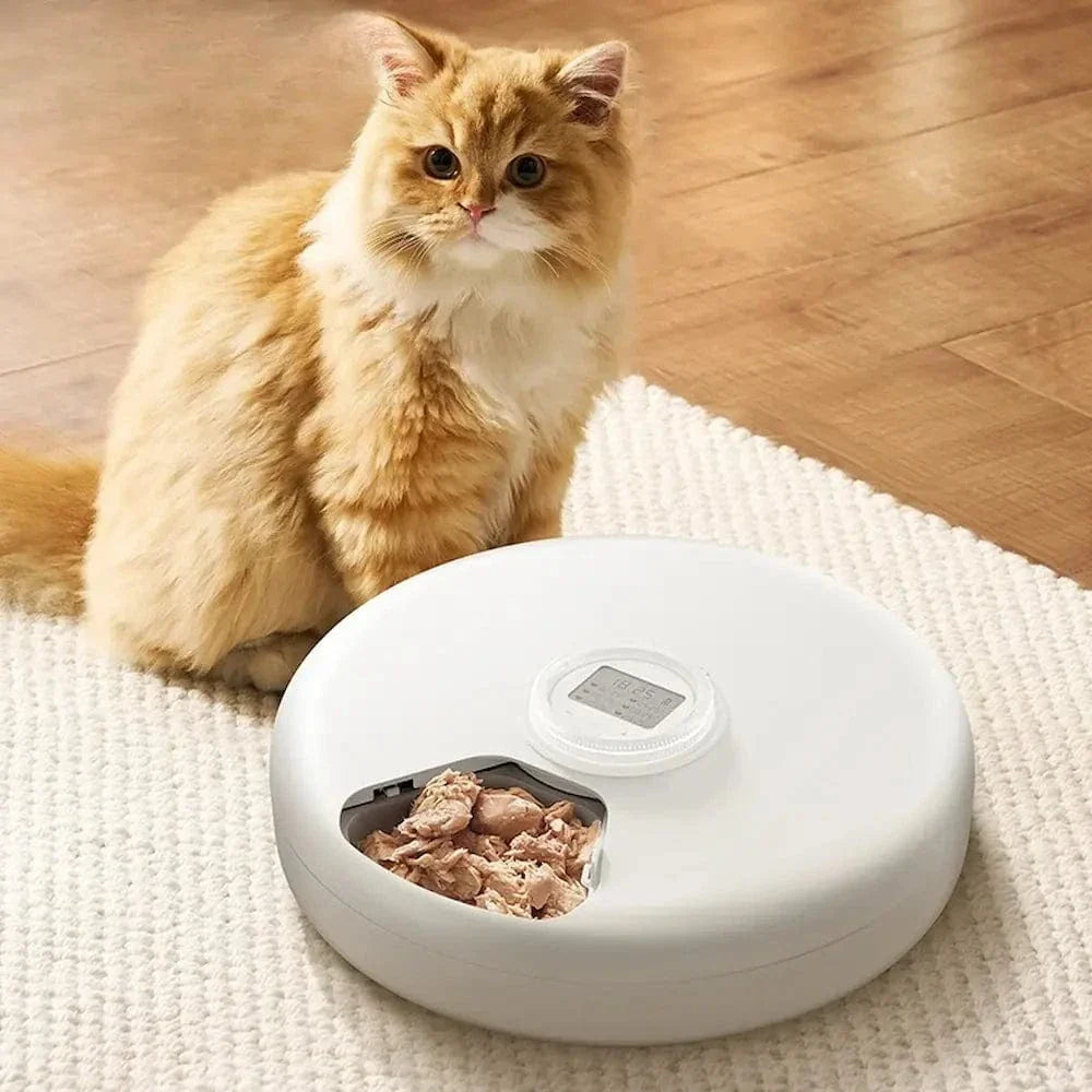 Distributeur automatique croquette 6 repas | Petiplan