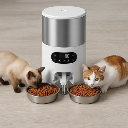 Distributeur croquettes 2 chats