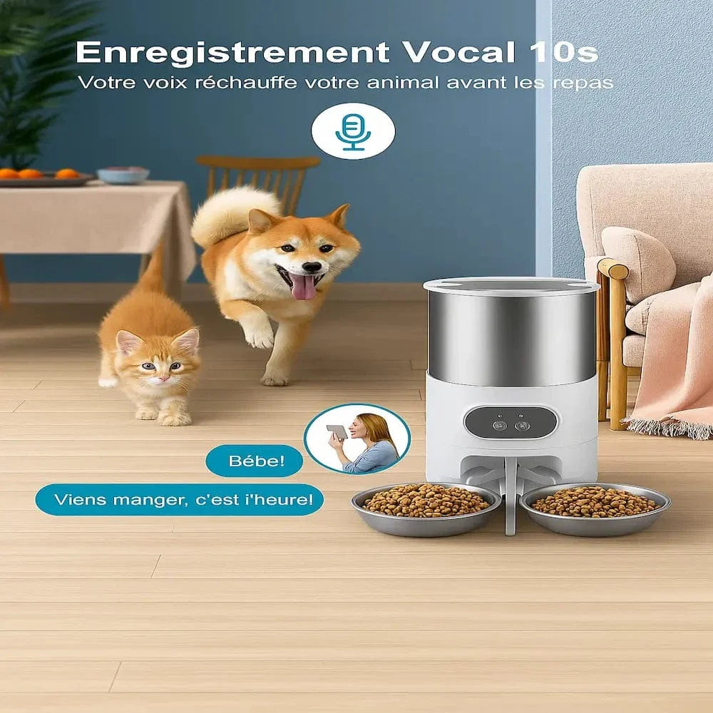Distributeur croquettes 2 chats