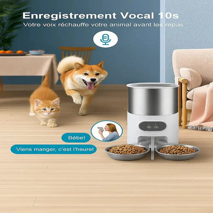Distributeur croquettes 2 chats