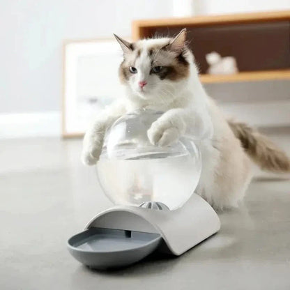 Distributeur eau chat 2,8L - Zéro filtre, zéro contrainte | PureMiaou