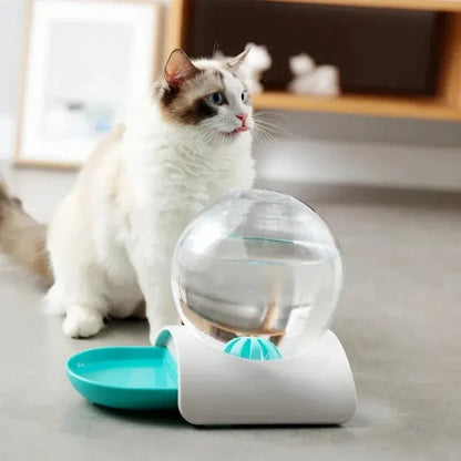 Distributeur eau chat 2,8L