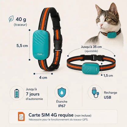 Collier traceur GPS pour chat
