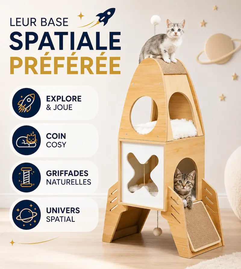 Arbre à chat fusée