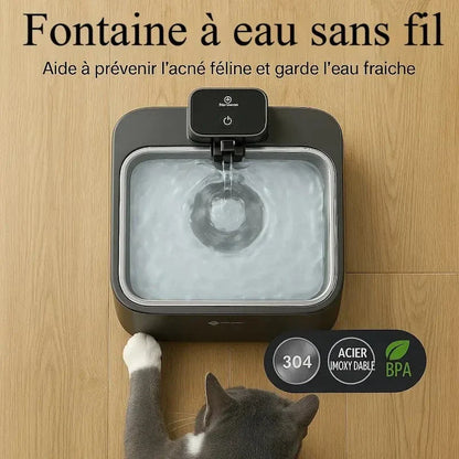 Fontaine chat anti-bactérienne