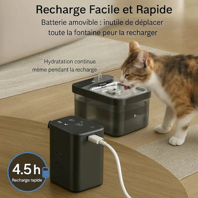 Fontaine chat anti-bactérienne