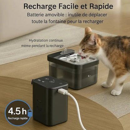 Fontaine chat anti-bactérienne