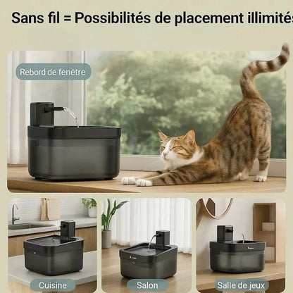 Fontaine chat anti-bactérienne