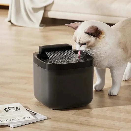 Fontaine eau USB 3L - Silencieuse & stable | FelicityFlow