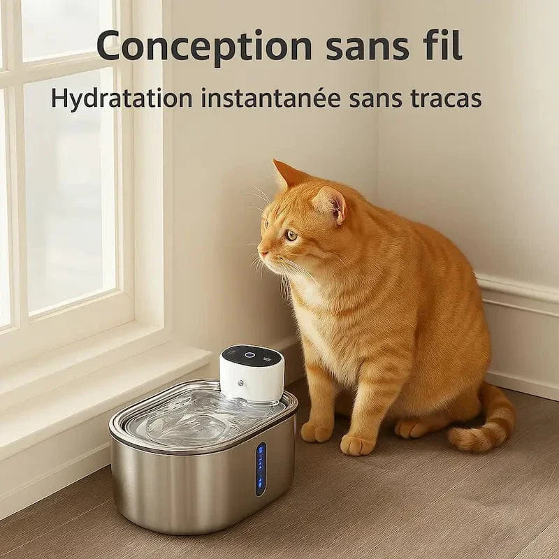 Fontaine chat sans fil à pile