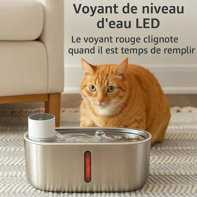 Fontaine chat sans fil à pile