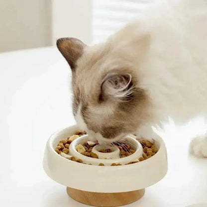 Gamelle anti-glouton chat céramique