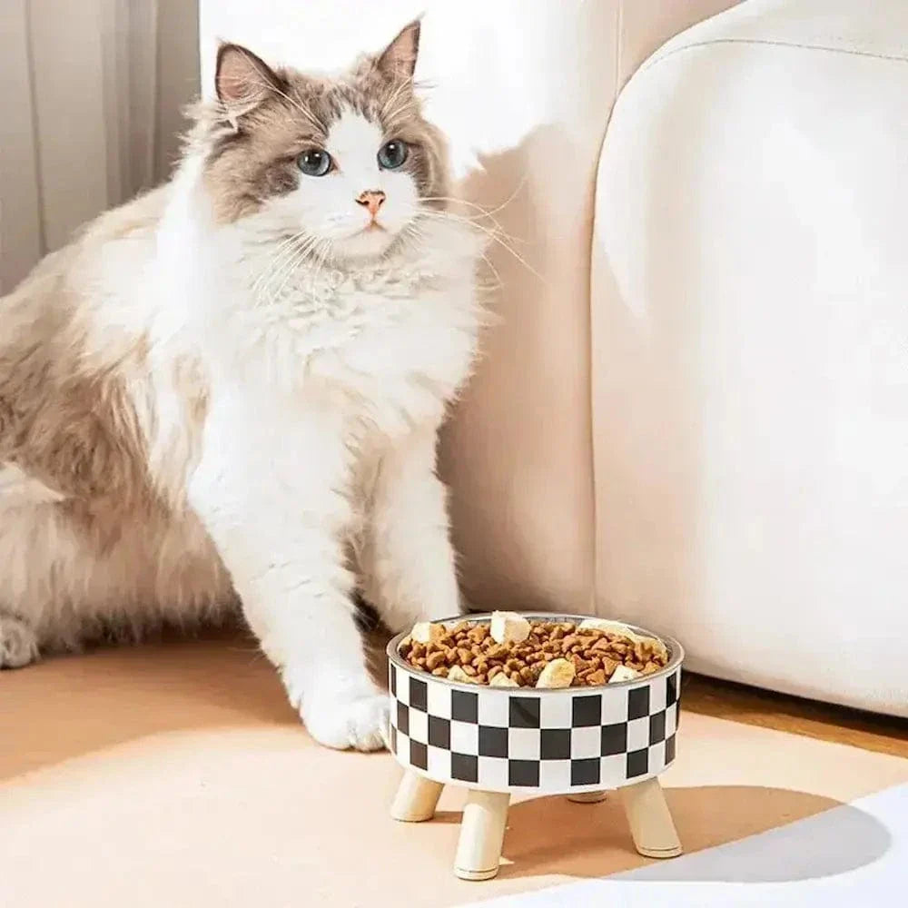 Gamelle chat en hauteur