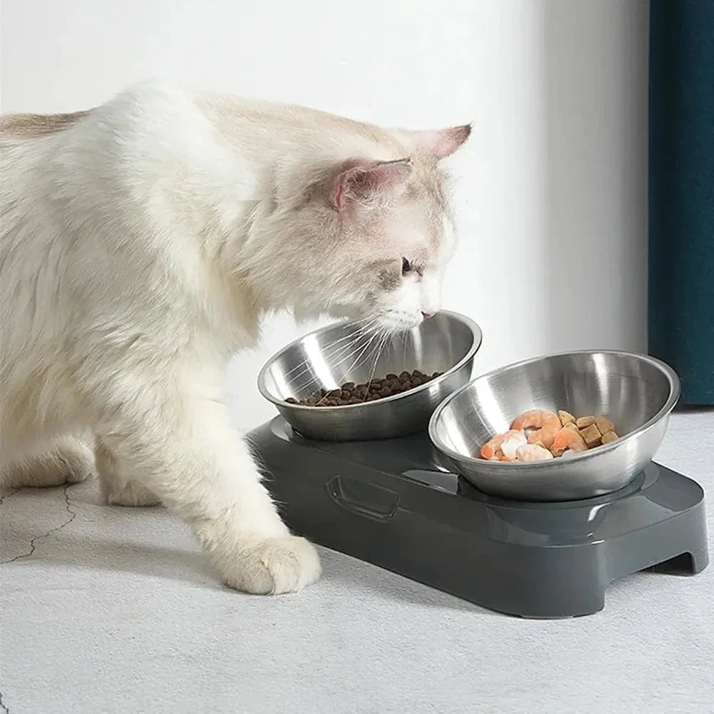 Gamelle chat surélevée inox - Posture idéale | SteelLift