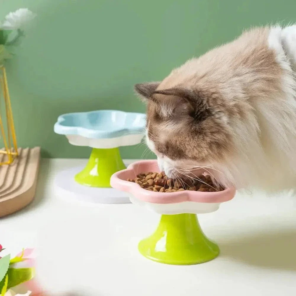 Gamelle chaton - Antidérapante en céramique