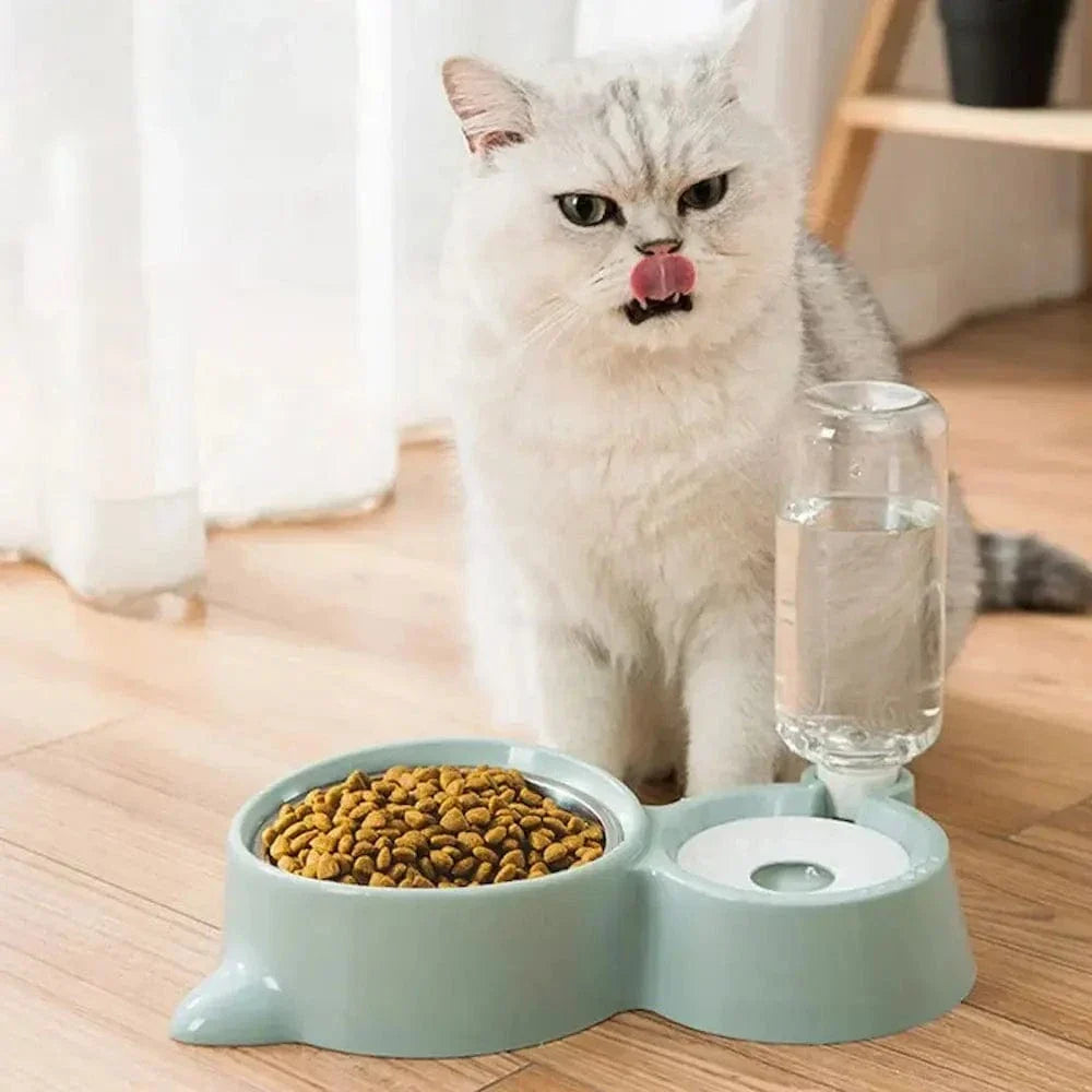 Gamelle croquettes et eau pour chat