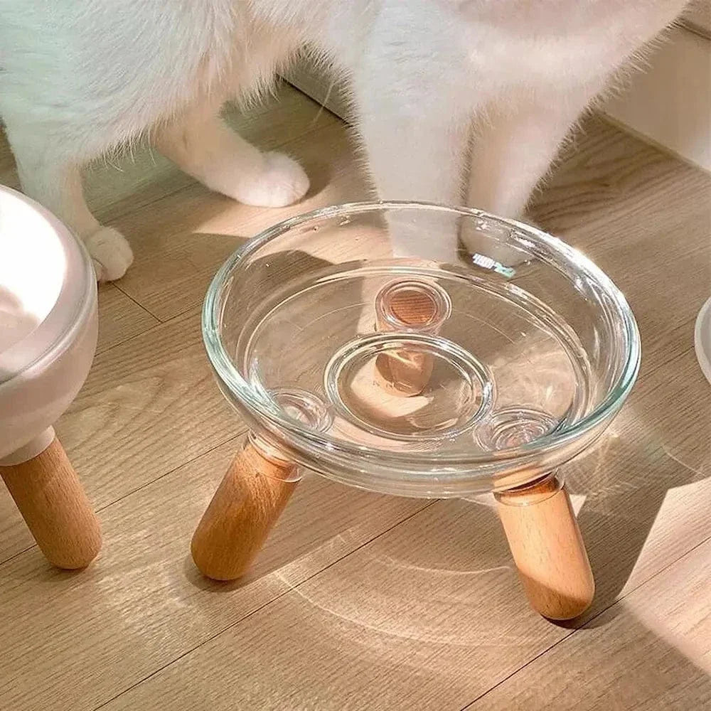 Gamelle en verre pour chat