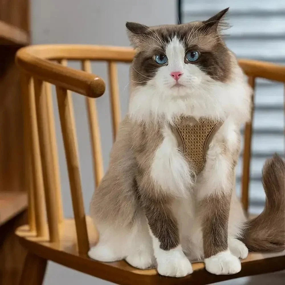 Harnais chat anti-évasion - Sécurité renforcée | CatLock