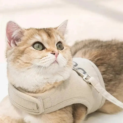 Harnais chat veste élégante