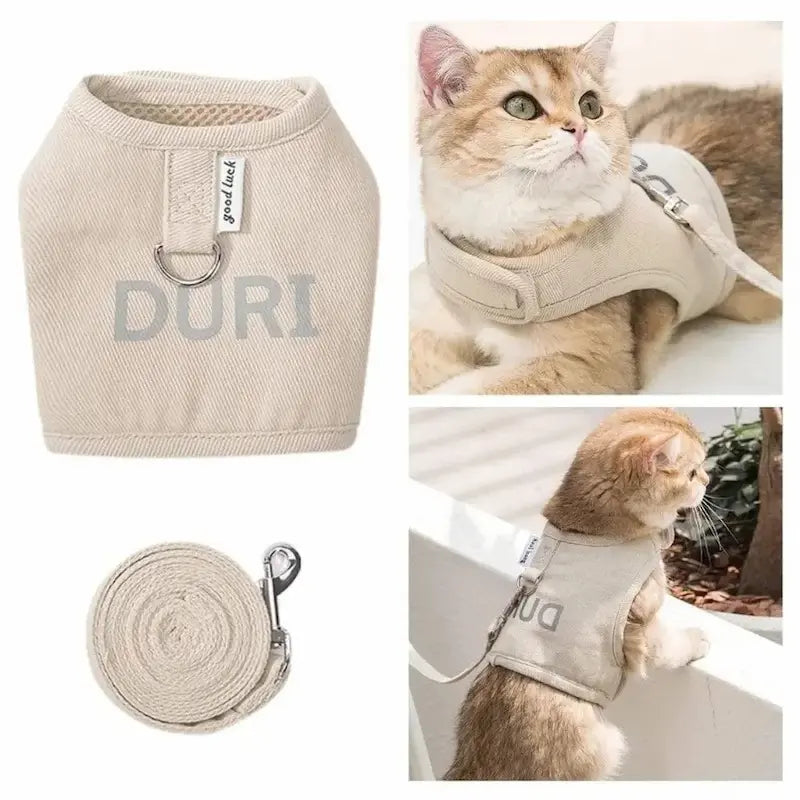 Harnais chat veste élégante