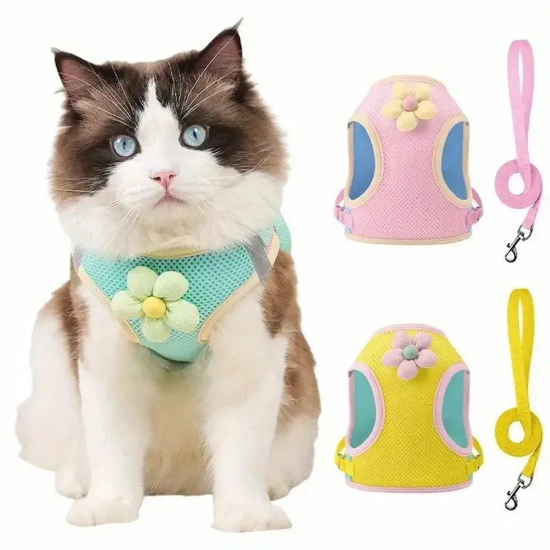 Harnais chat fleuri - Balade élégante | MiaouBloom