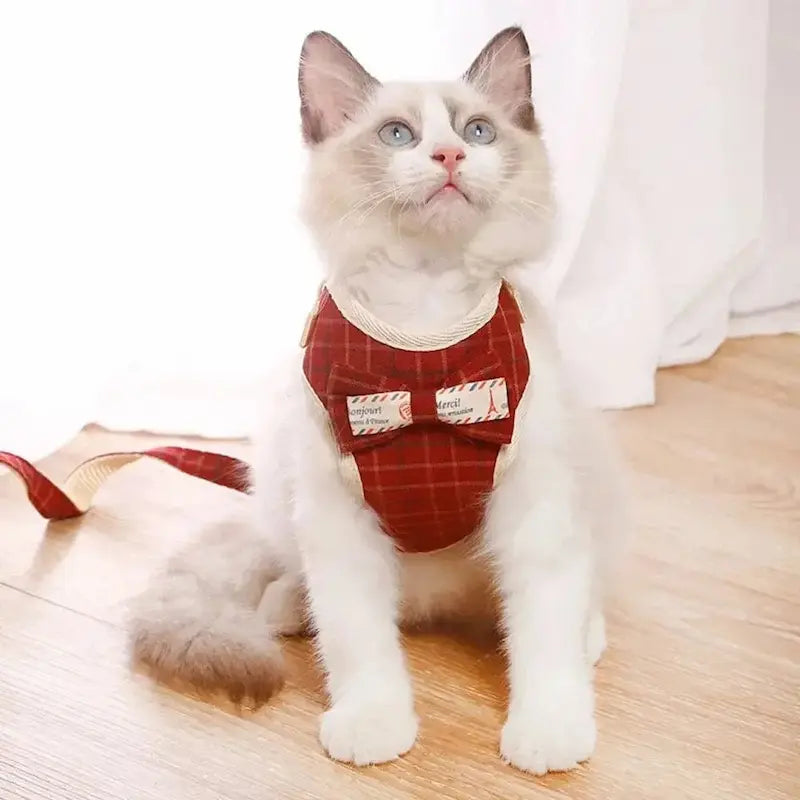 Harnais chat nœud papillon - Chic et sécurisé | CatElegance